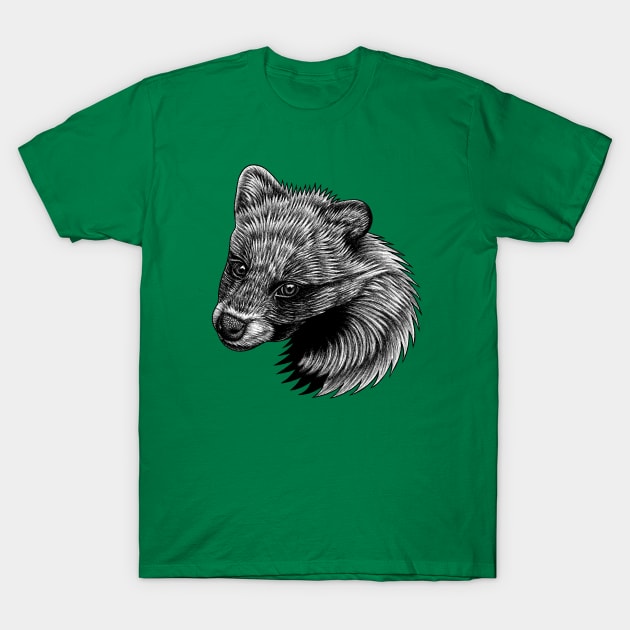 Racoon dog puppy T-Shirt by lorendowding